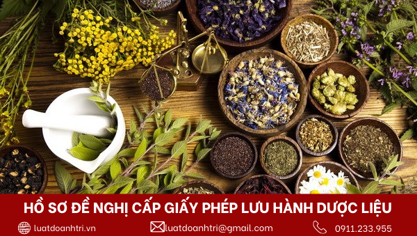 HỒ SƠ ĐỀ NGHỊ CẤP GIẤY LƯU HÀNH DƯỢC LIỆU