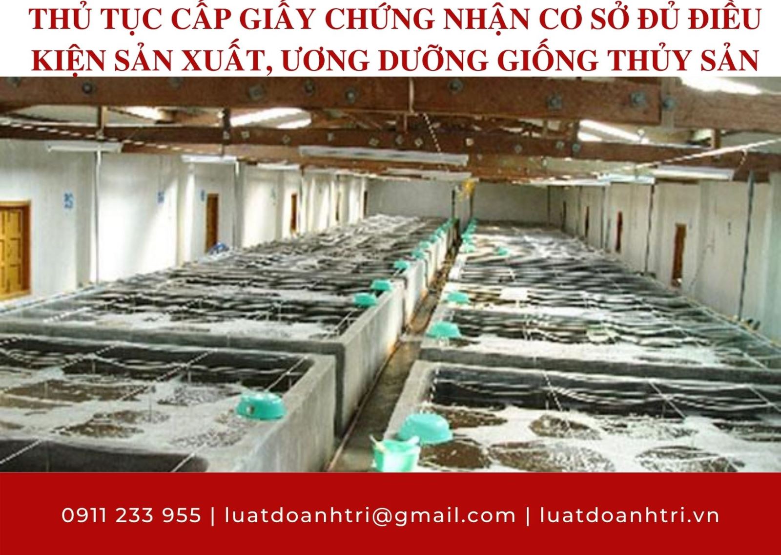 THỦ TỤC CẤP GIẤY CHỨNG NHẬN CƠ SỞ ĐỦ ĐIỀU KIỆN SẢN XUẤT, ƯƠNG DƯỠNG GIỐNG THỦY SẢN