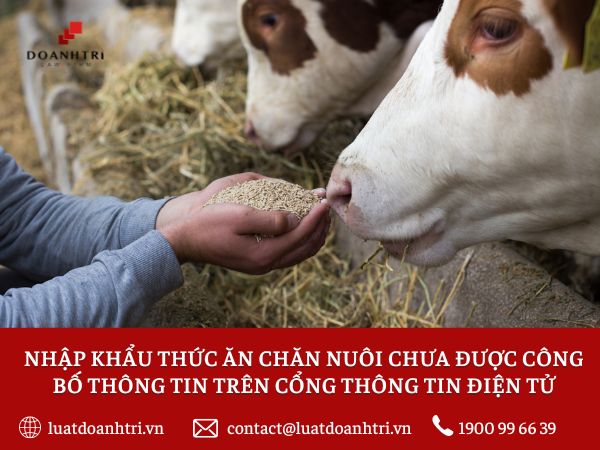 NHẬP KHẨU THỨC ĂN CHĂN NUÔI CHƯA ĐƯỢC CÔNG BỐ THÔNG TIN TRÊN CỔNG THÔNG TIN ĐIỆN TỬ