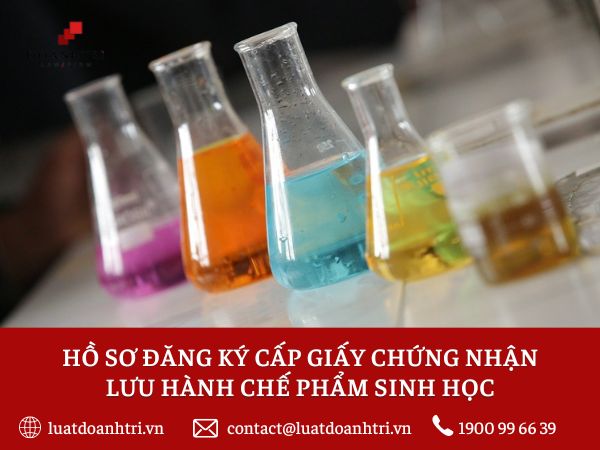 THỦ TỤC HỒI HƯƠNG CHO VIỆT KIỀU THEO QUY ĐỊNH CỦA PHÁP LUẬT MỚI NHẤT NĂM 2022