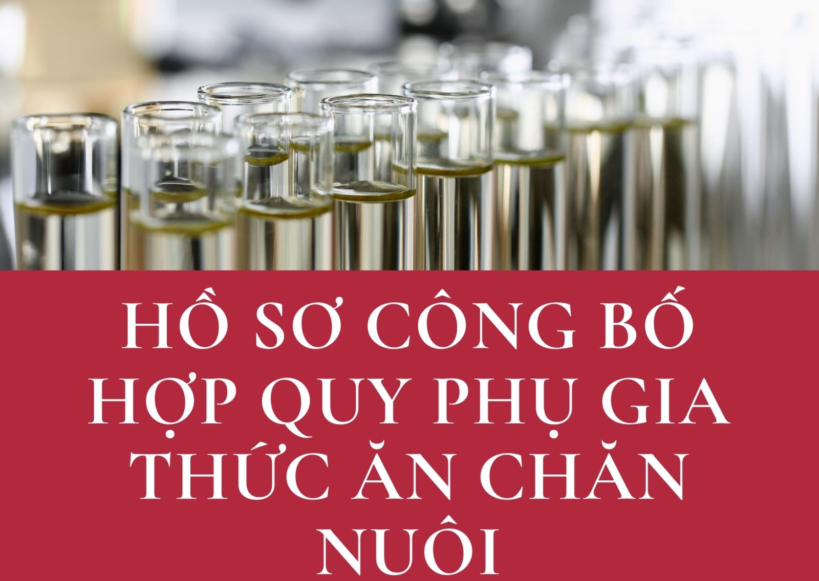 DANH MỤC, HỒ SƠ CÔNG BỐ HỢP QUY PHỤ GIA THỨC ĂN CHĂN NUÔI