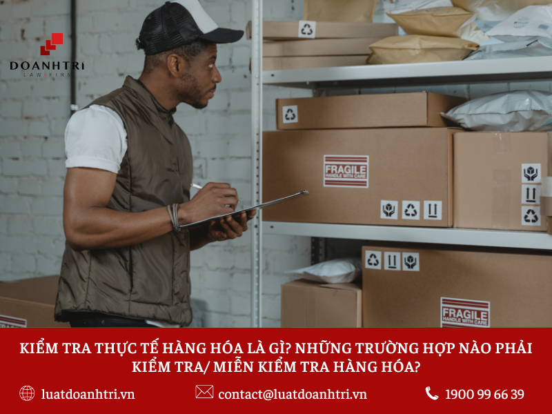 Kiểm tra thực tế hàng hoá là gì? Những trường hợp phải kiểm tra, miễn kiểm tra hàng hoá