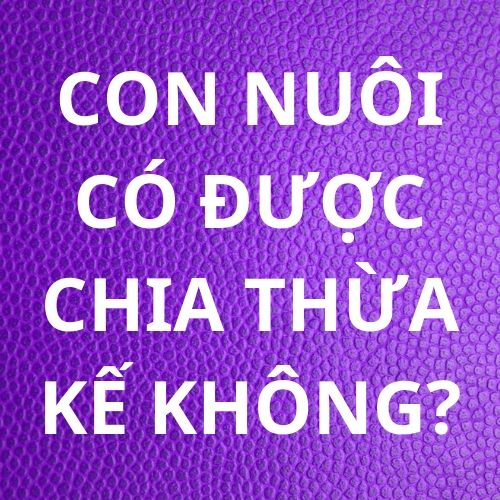 Con nuôi có được chia thừa kế không?