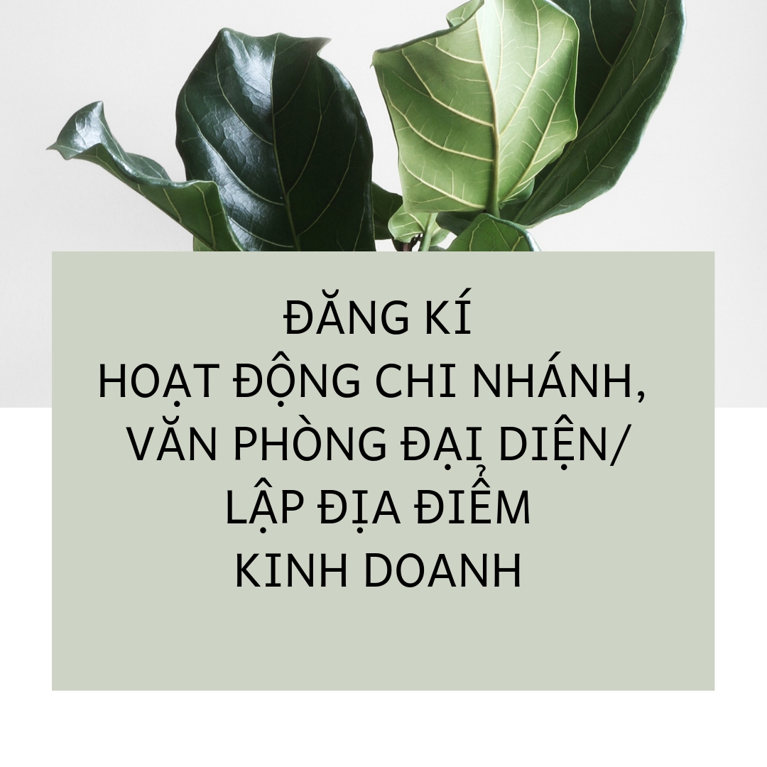 Thông báo Về việc đăng kí hoạt động chi nhánh, văn phòng đại diện/lập địa điểm kinh doanh